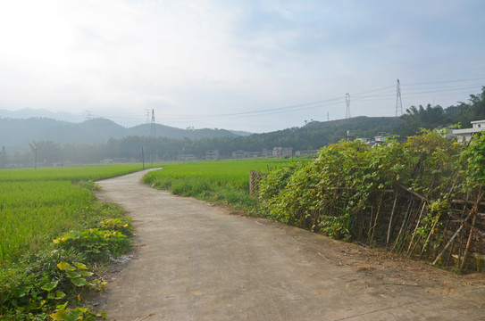 乡村道路