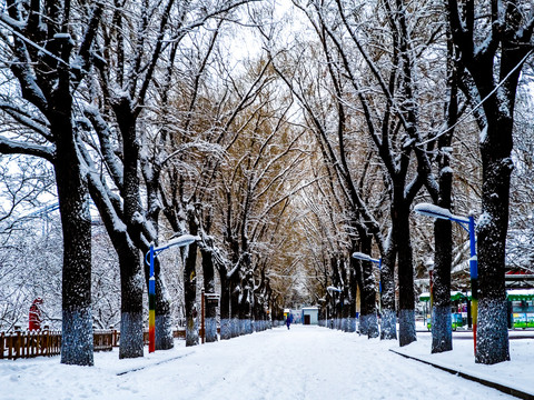 哈尔滨冰雪