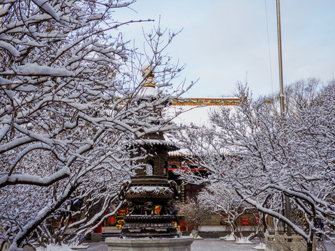 哈尔滨冰雪