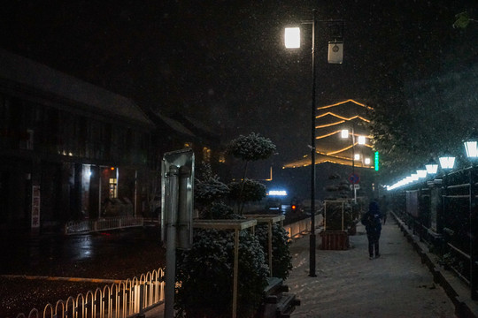 夜晚乡村下雪雪花