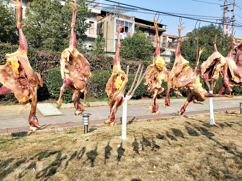 腊肉腊鱼腊年货