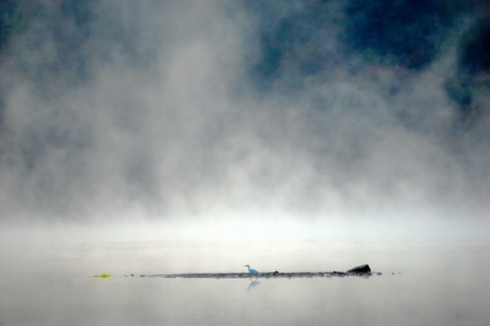 奇墅湖晨雾