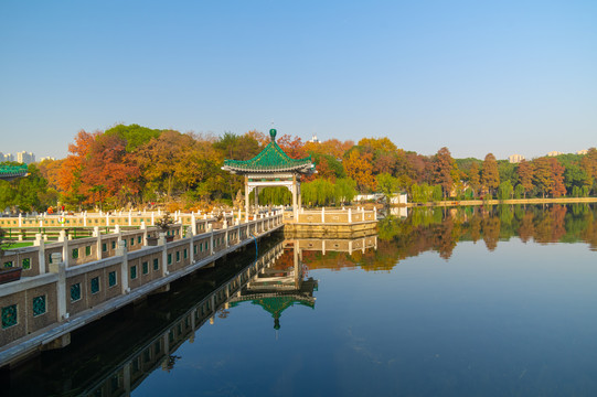 武汉东湖风景区深秋风光