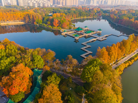 武汉东湖风景区深秋航拍风光