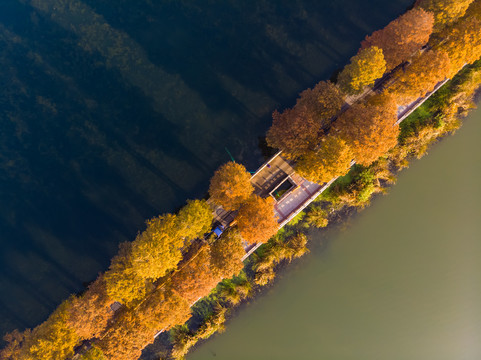 武汉东湖风景区深秋航拍风光