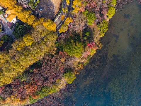 武汉东湖风景区深秋航拍风光