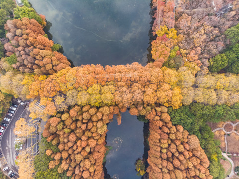 武汉东湖风景区深秋航拍风光