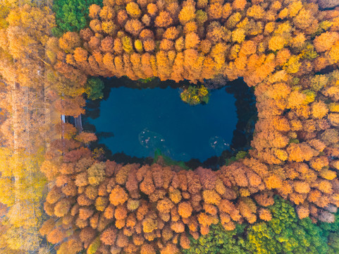 武汉东湖风景区深秋航拍风光