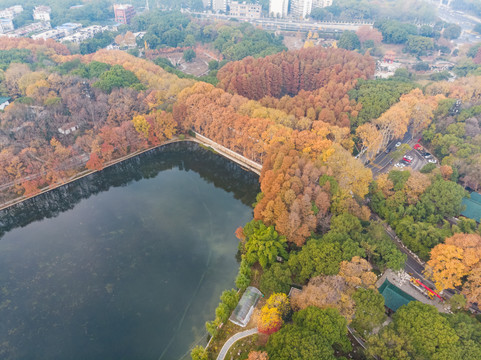 武汉东湖风景区深秋航拍风光