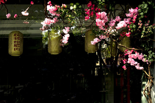 装饰花背景