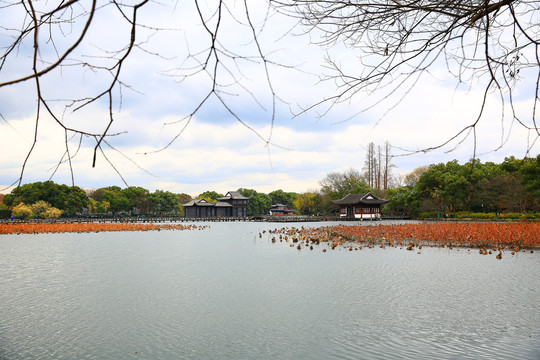 杭州西湖秋景