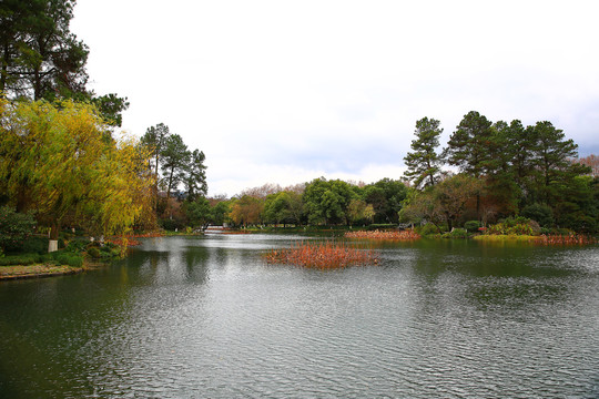 杭州西湖秋景