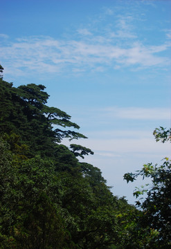 泰山风光