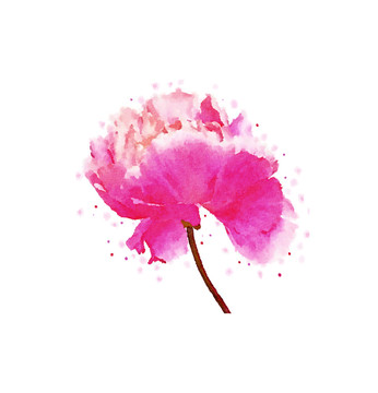 簡約水粉鮮花牡丹
