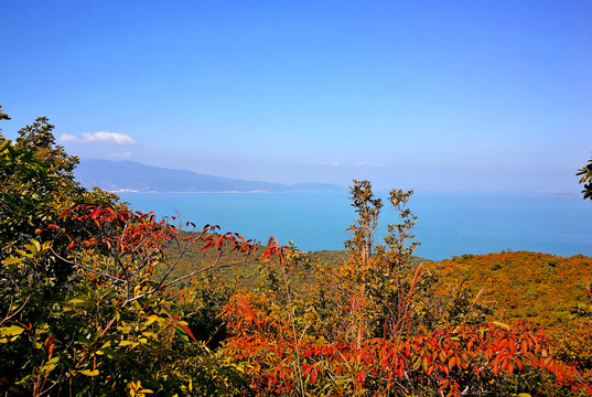 秋天海岸大海