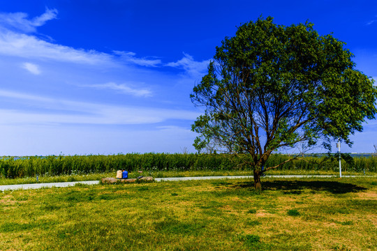 滴水湖风景区