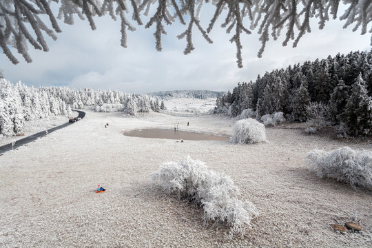 仙女山雪景