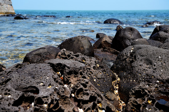龙口桑岛的火山岩