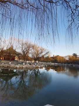 丛台湖冬景