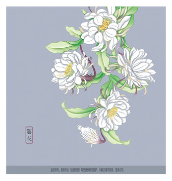 曇花