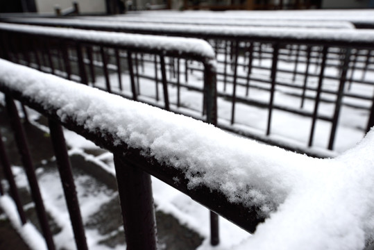 栏杆积雪