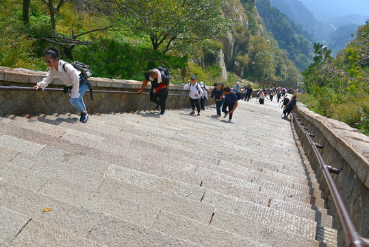 泰山台阶