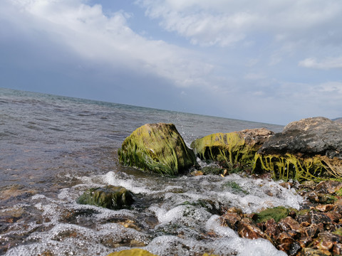 海边青苔水藻石头