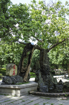 西禪寺