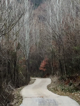 山路