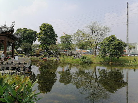 晴空下的湖面树木倒影