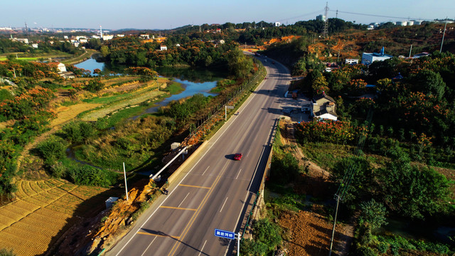 道路