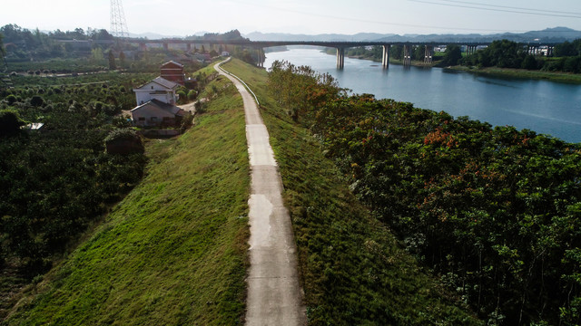 道路