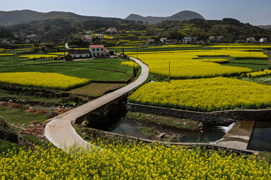 道路