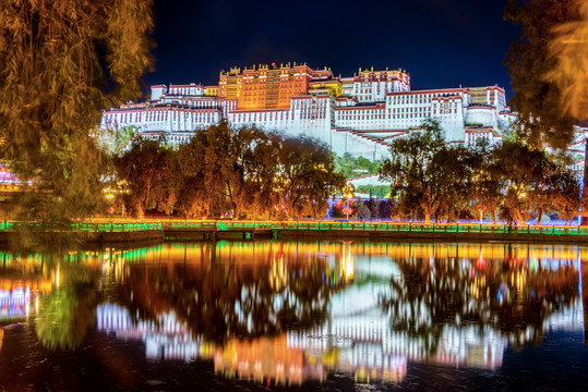 中国西藏拉萨布达拉宫夜景