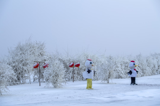 冰天雪地丹顶鹤