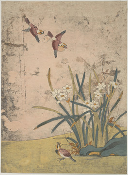 鈴木春信喜鵲和水仙花