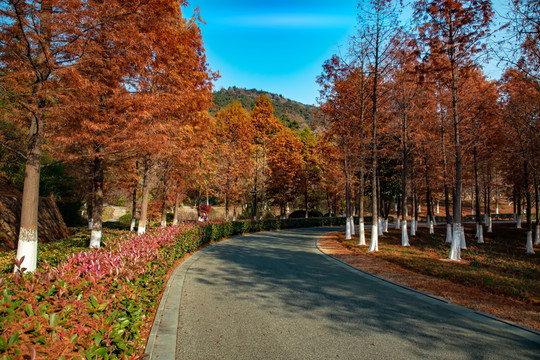 香山风景区