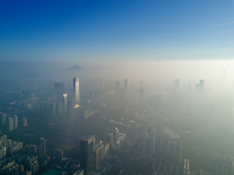 晨雾笼罩下的深圳