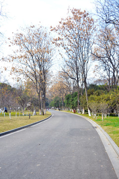 冬天道路