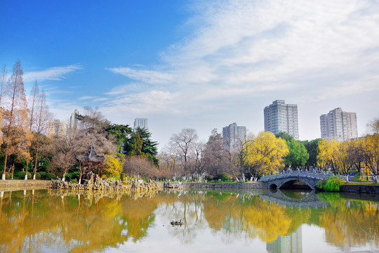 莫愁湖公园美景