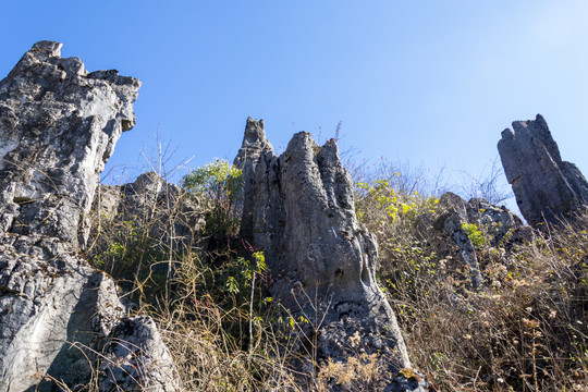 上高桥小石林