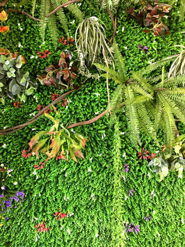 绿色植物背墙
