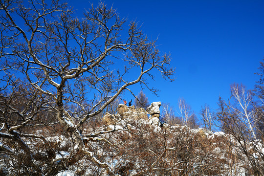 冬季山野户外