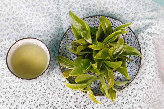 茶叶嫩芽特写