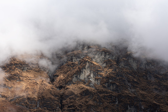 高山云雾