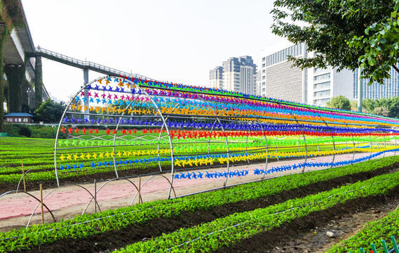 花海公园彩色风车装饰