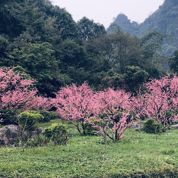 桂林阳朔