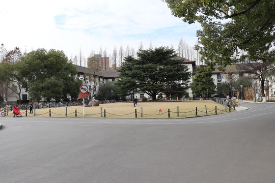 上海同济大学校园景观