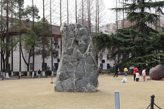 同济大学校园景观