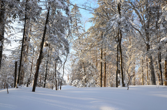 冰雪走廊